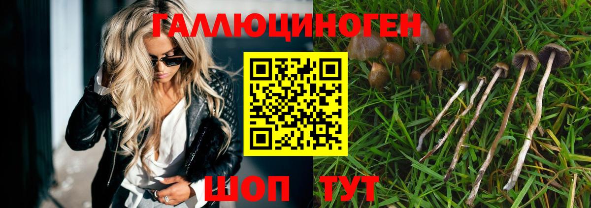 Галлюциногенные грибы GOLDEN TEACHER Алатырь