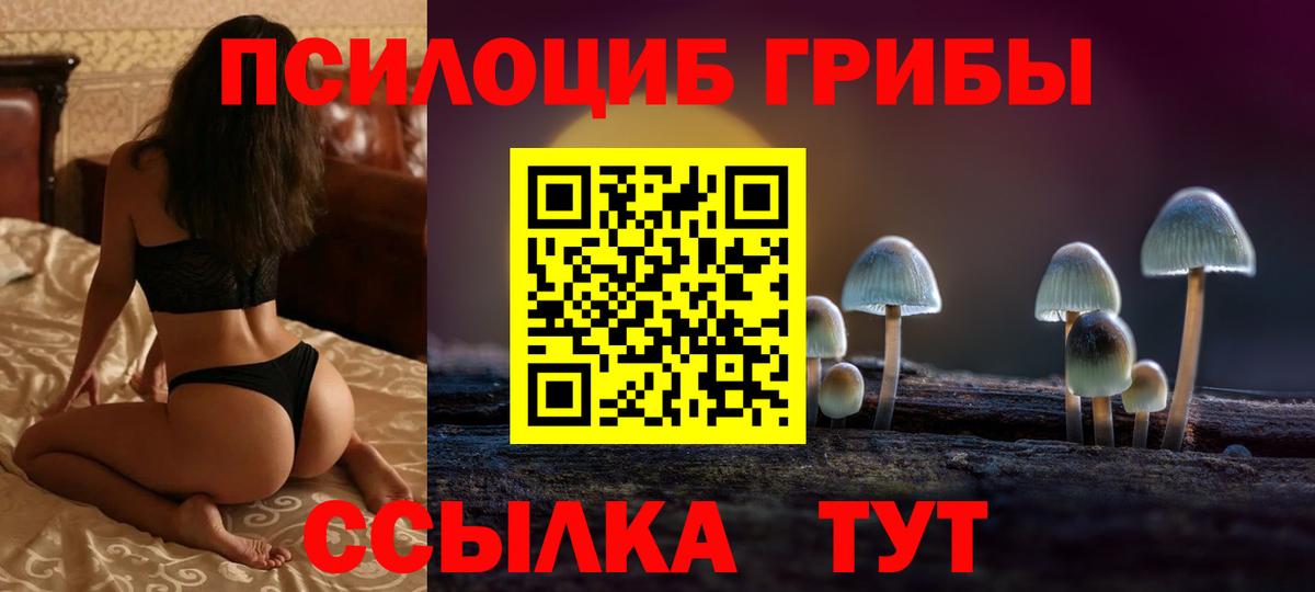 Галлюциногенные грибы прущие грибы  Вход с VPN  Алатырь  Галлюциногенные грибы прущие грибы 